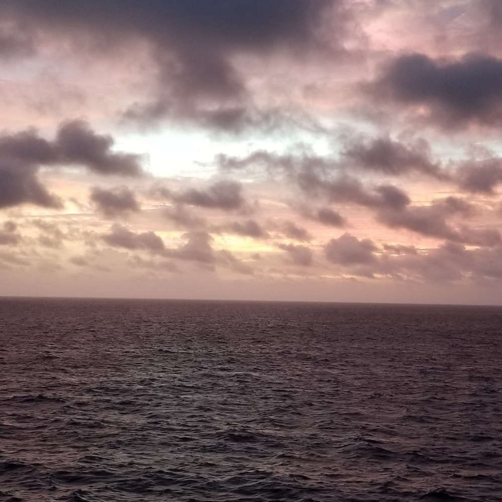 Meet your Posher, Breezi